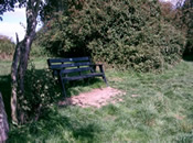 Shady spot by the river